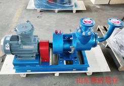 安徽YHQ型液化石油气螺杆泵